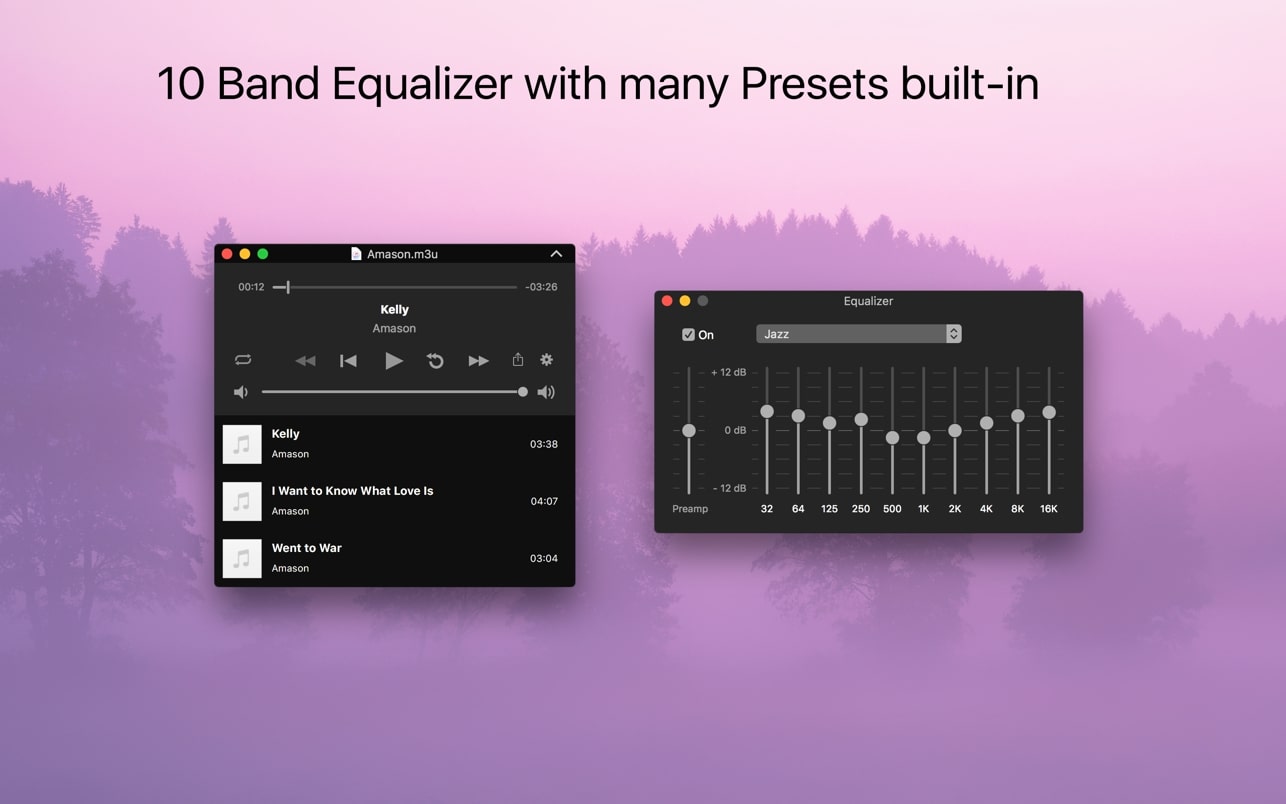 Audio Playr screenshot 4